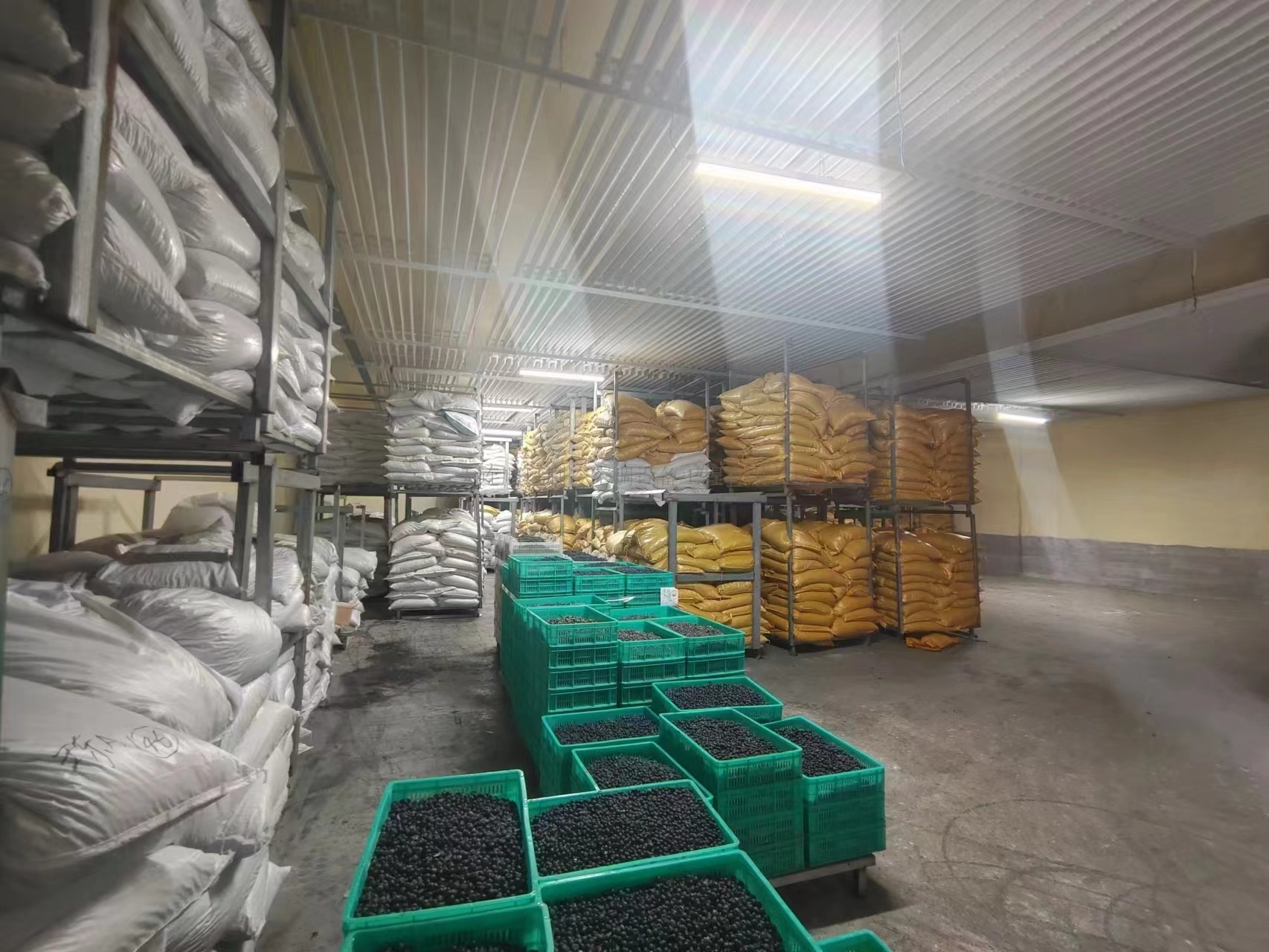 吉林藍域農(nóng)業(yè)發展有(yǒu)限公司制(zhì)冷(lěng)項目