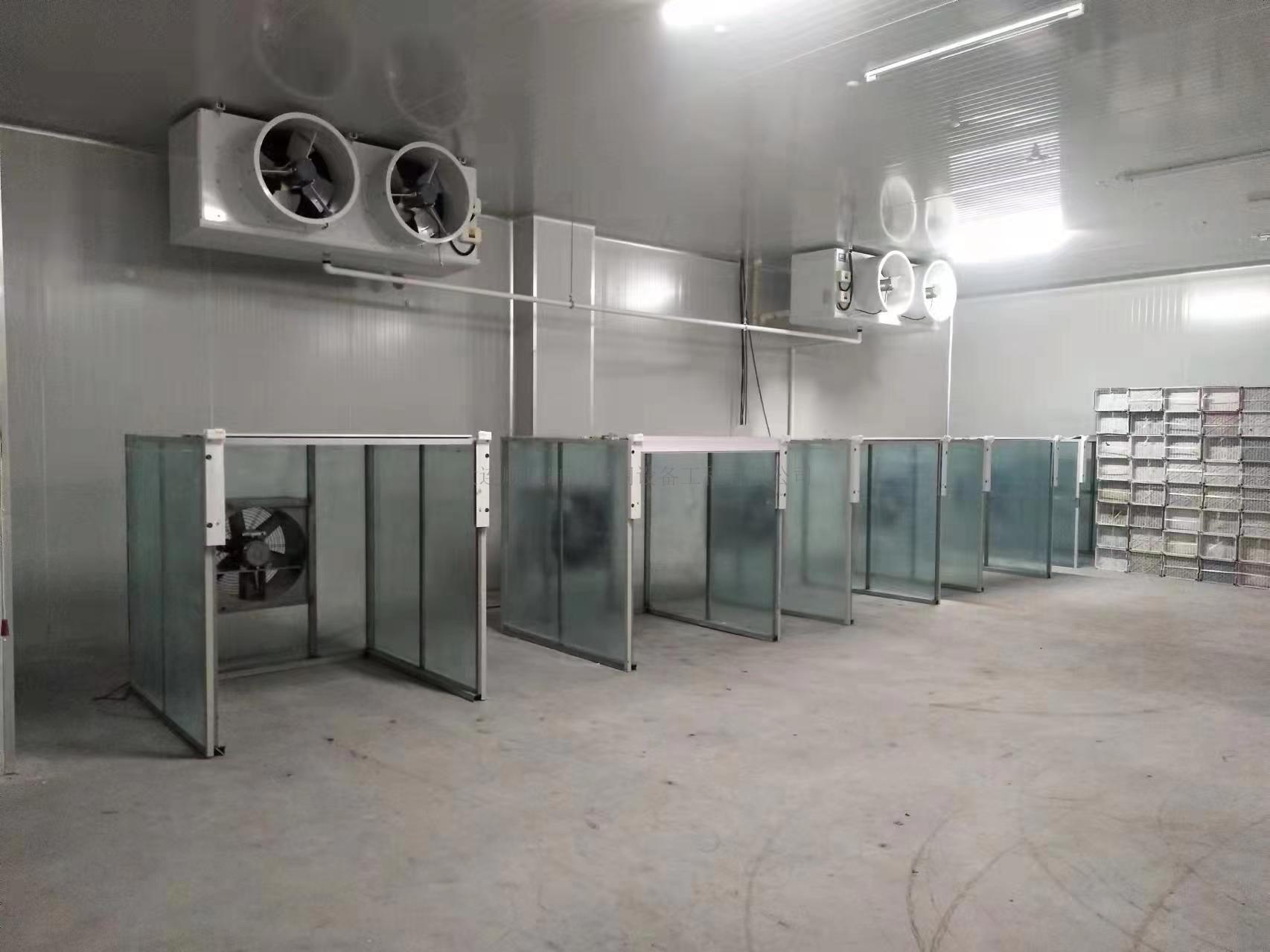 吉林通化禾韻藍莓生産基地(dì)