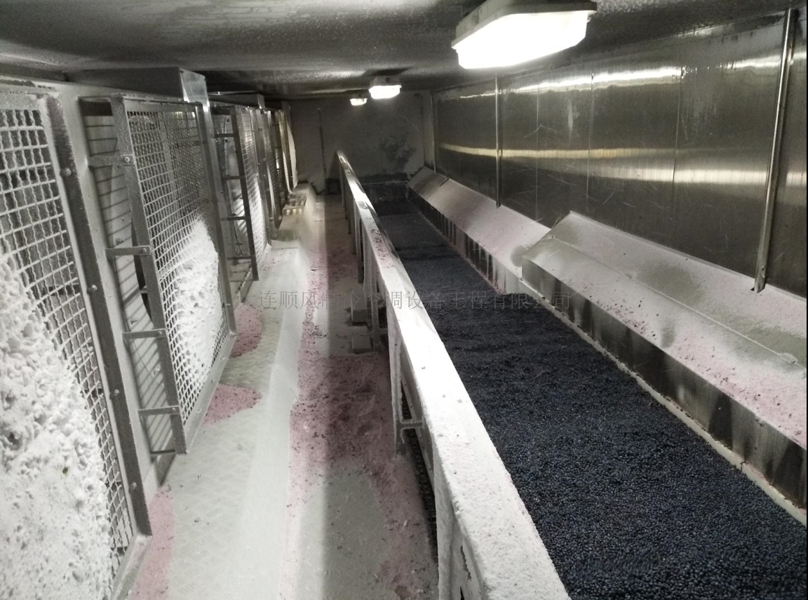 吉林通化禾韻藍莓生産基地(dì)