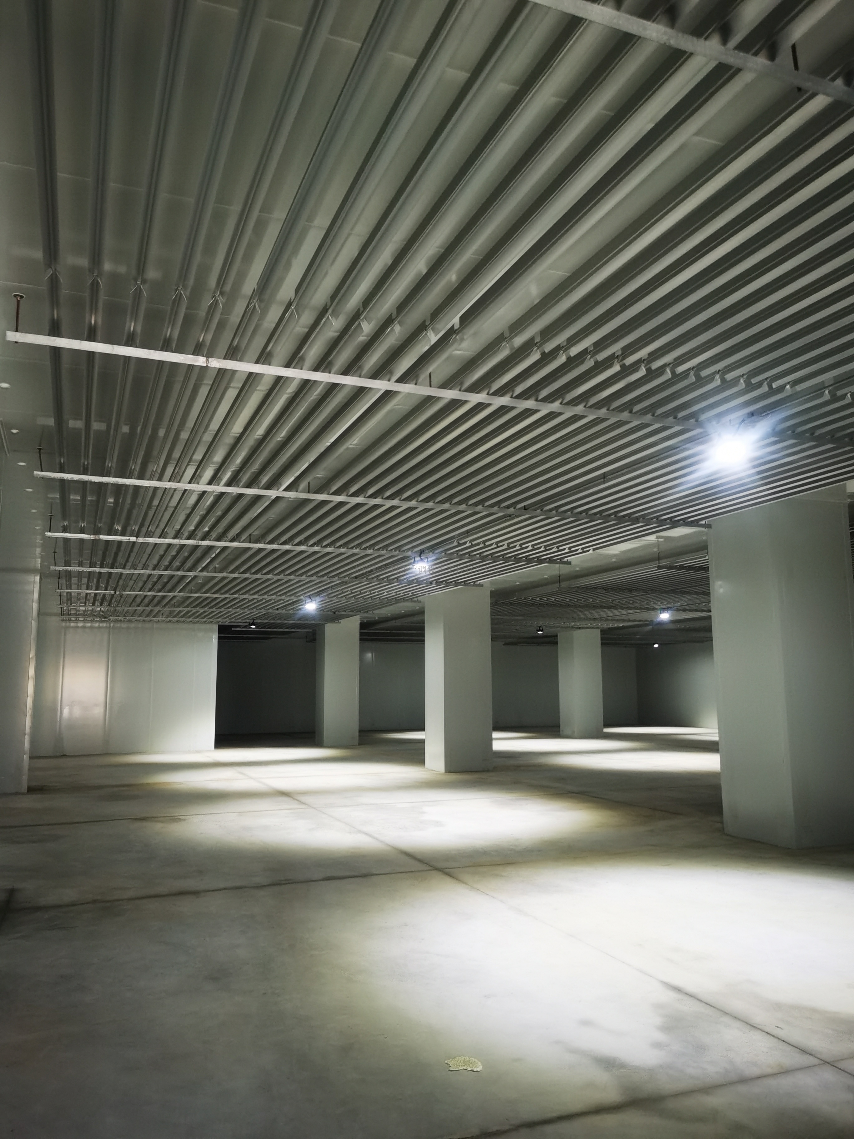 大(dà)連東方置業(yè)集團金(jīn)三角市場(chǎng)冷(lěng)庫