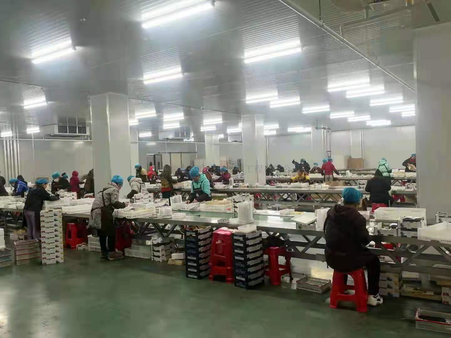 吉林藍域農(nóng)業(yè)發展有(yǒu)限公司制(zhì)冷(lěng)項目