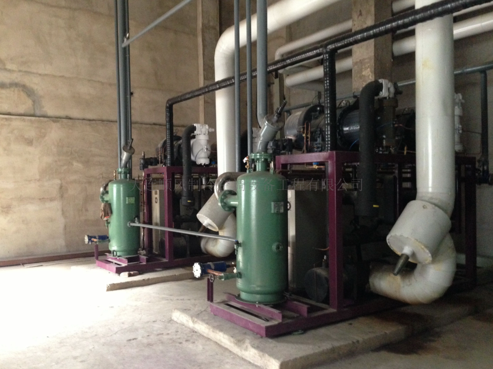 遼甯冠翔冰雪(xuě)大(dà)世界項目