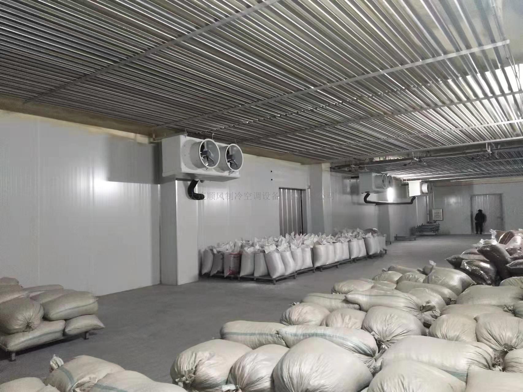 吉林通化禾韻藍莓生産基地(dì)