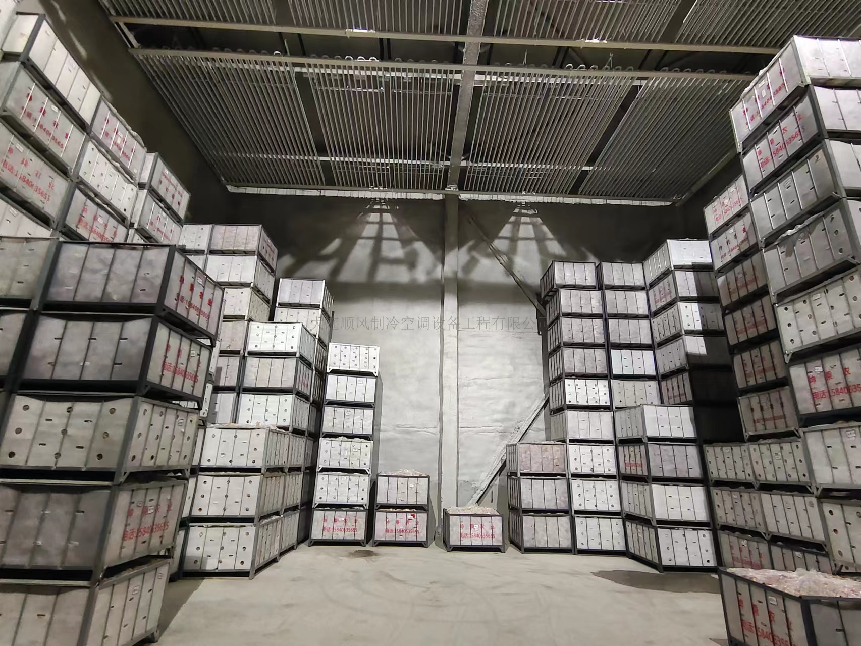 大(dà)連泰康農(nóng)業(yè)保鮮庫項目