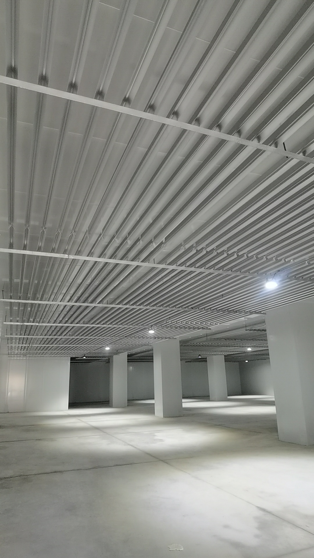 大(dà)連東方置業(yè)集團金(jīn)三角市場(chǎng)冷(lěng)庫